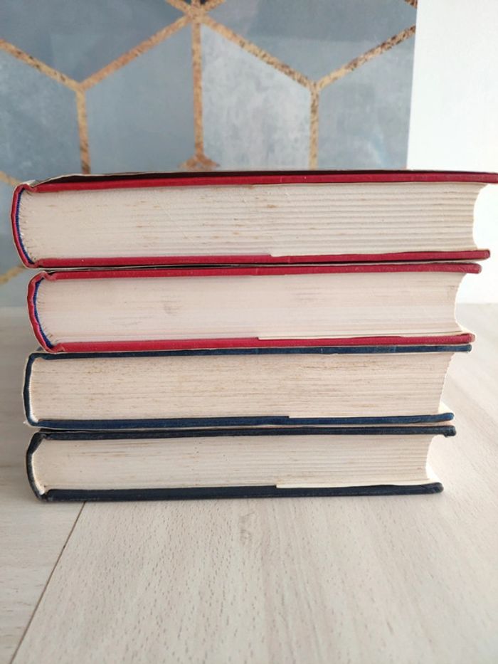 Tétralogie Robert Gaillard érotique historique chair cendre luxure volupté désir haine - photo numéro 2