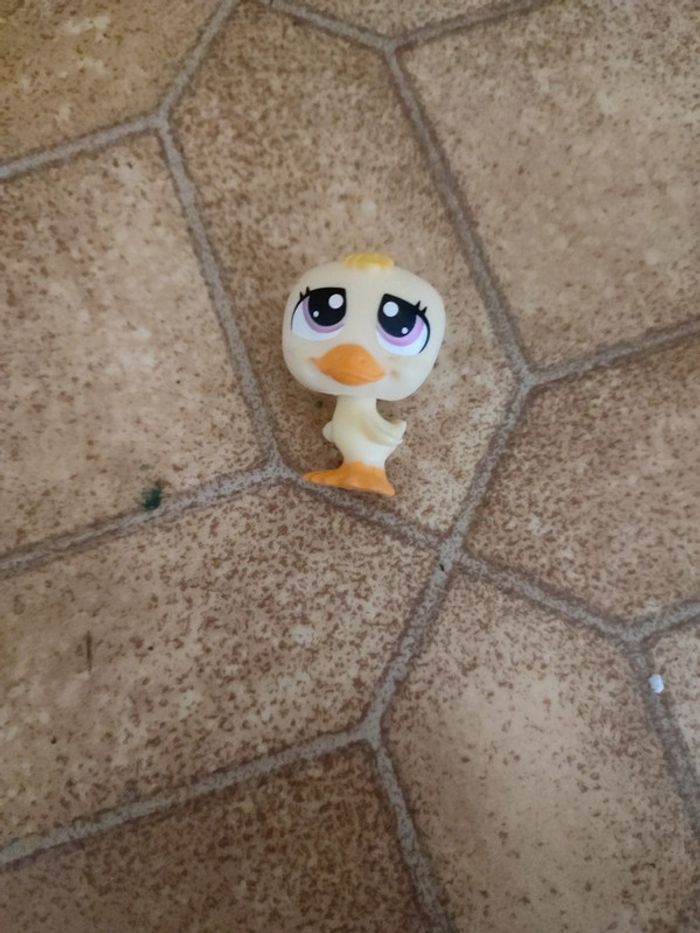 Figurines petshop
