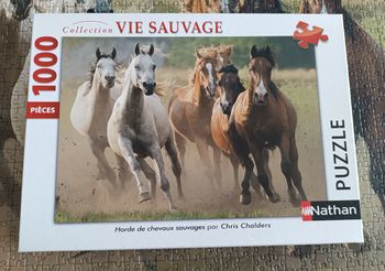 Puzzle chevaux 1000 pièces