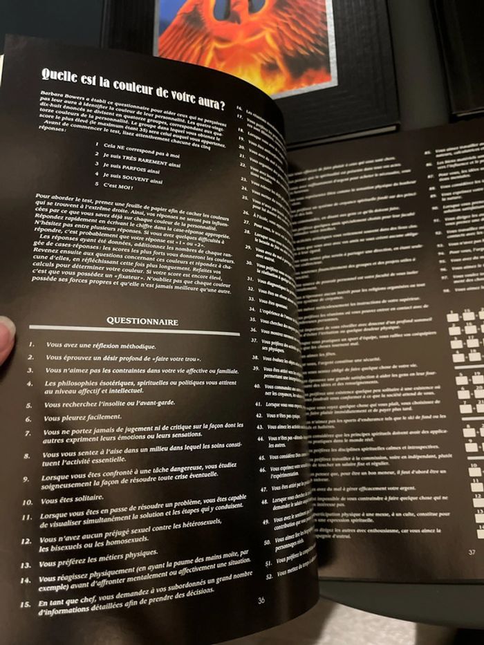 Attention à ne pas mettre entre toutes les mains ! 3 livres ésotériques - photo numéro 19