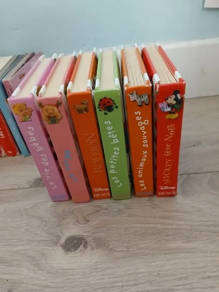 Lot livre premier age - photo numéro 2