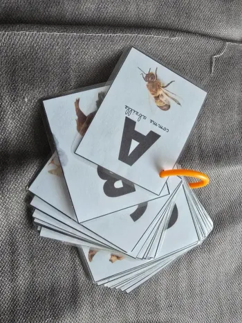 abécédaire animaux réaliste