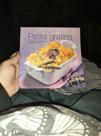 Livre cuisine petits gratins 30 recettes neuf