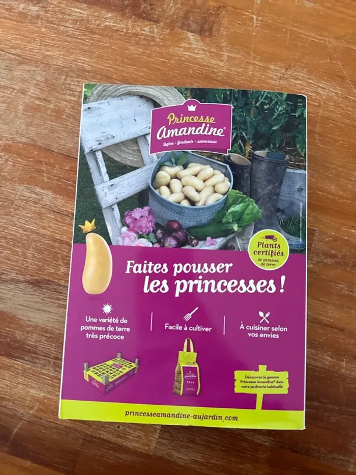 Livre almanach, 2024, une page un jour fêtes , jeu dicton - photo numéro 3