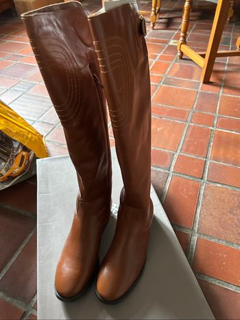 Botte haute femme