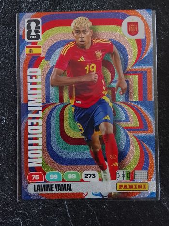 Carte de football panini 