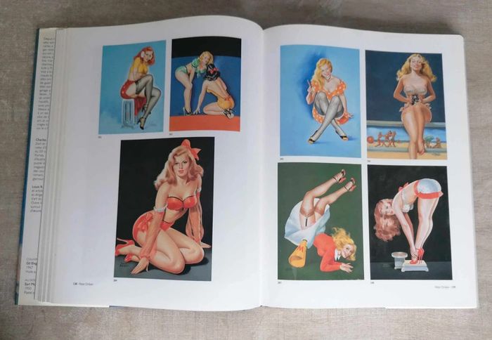 Livre L’âge d’or des pin up Américaine Tashen - photo numéro 5