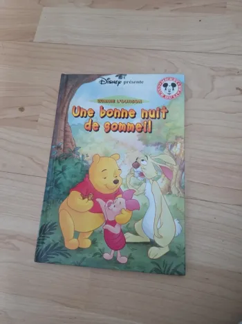 Livre disney une bonne nuit de sommeil winnie l'ourson