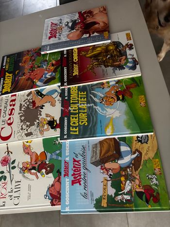 Bd Astérix 