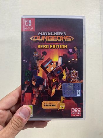 🎮 Minecraft Dungeons – Hero Edition – Nintendo Switch
