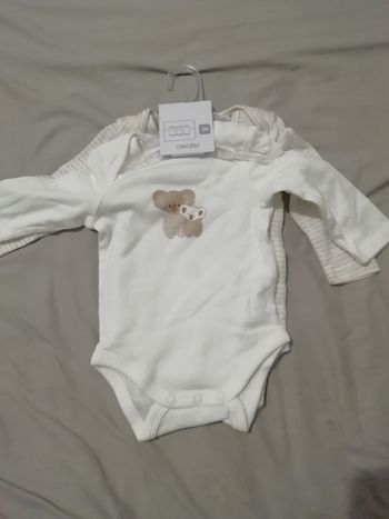 Lot 2 bodies