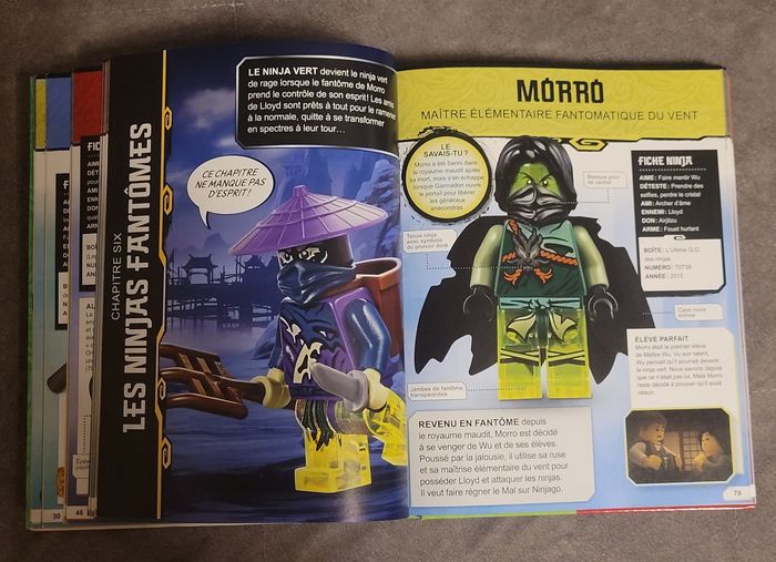 Lego Ninjago - L'Encyclopédie des personnages mise à jour et augmentée Hugo Simon, Sipi Claire - photo numéro 5