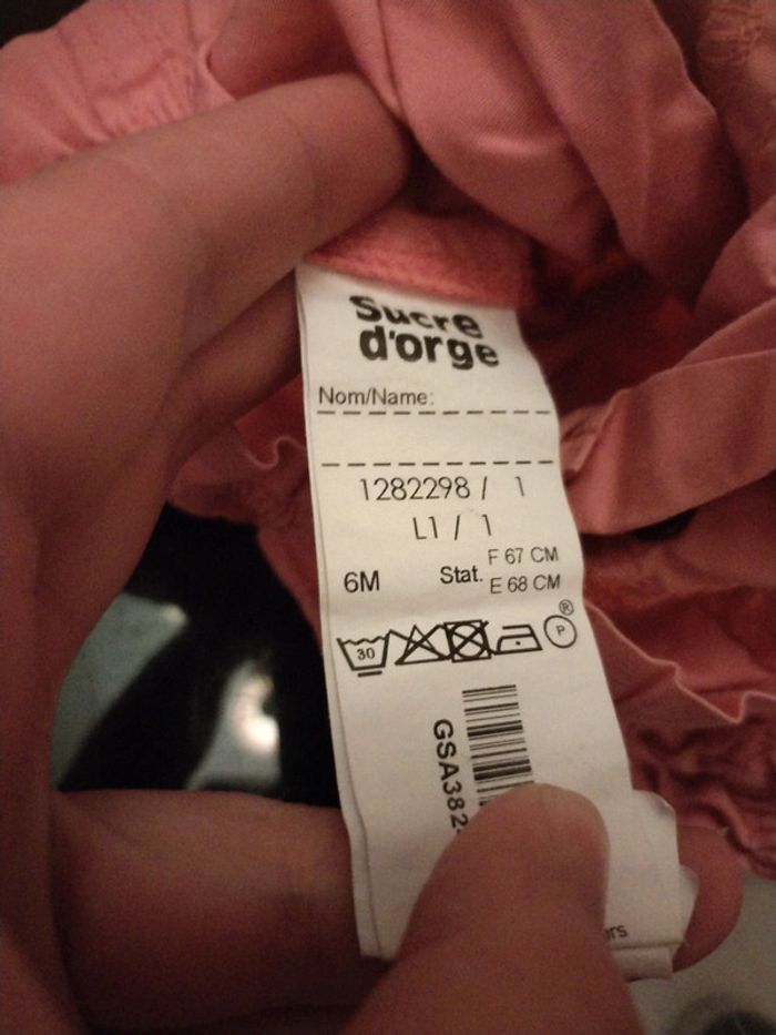 Short fin - photo numéro 2