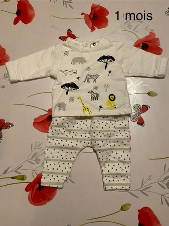 Ensemble motif savane