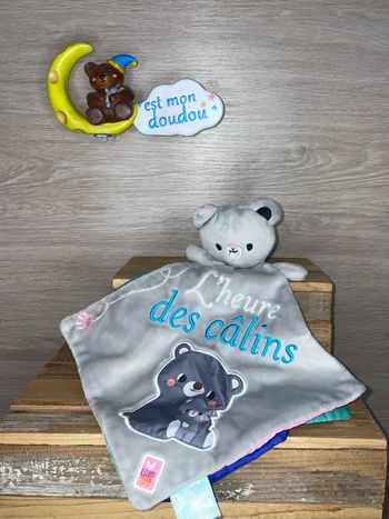 JTS35 doudou ours 🐻 livre hachette