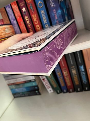 Saga Le Pont des Tempêtes (tome 1 à 4) - Danielle L. Jensen (relié collector + VF)