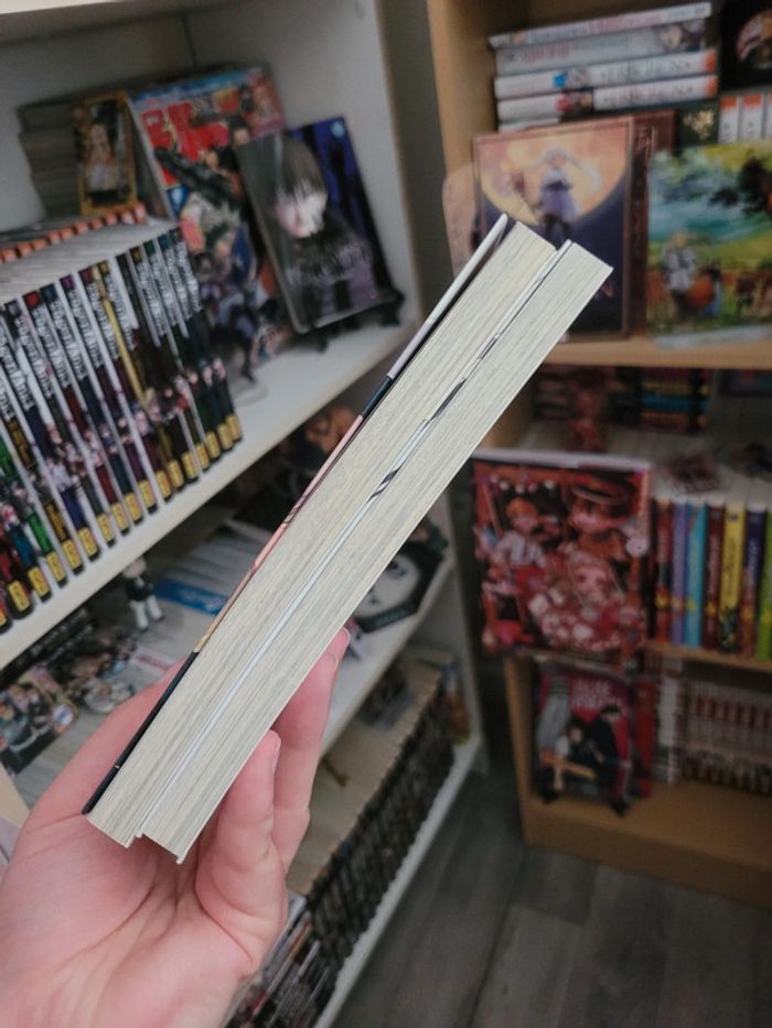 Manga my elder sister tomes 1 et 2 - photo numéro 5