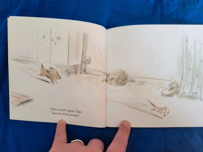 Album / Livre - photo numéro 4