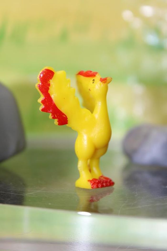 Pokemon Sulfura - photo numéro 2