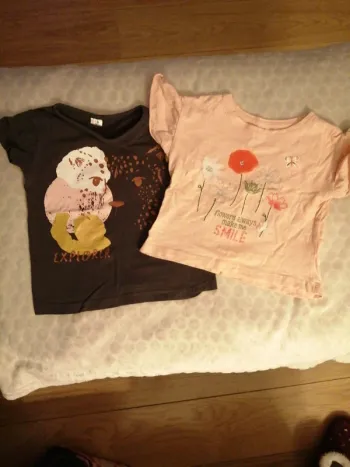 Lot de 2 t-shirts