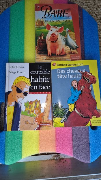 Vend lots de livre enfants 