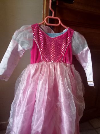 Déguisement princesse