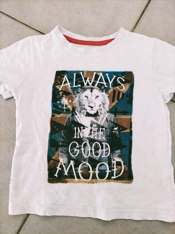 T shirt lion taille 3-4ans
