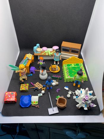 Lot divers playmobil