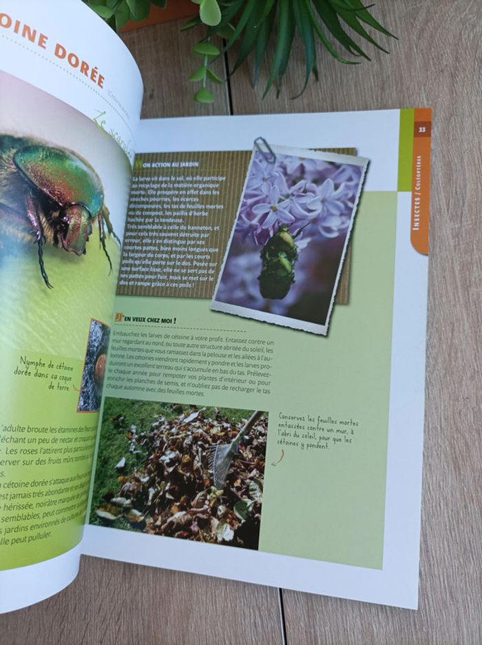 Les animaux bénéfiques au jardin Livre - photo numéro 2