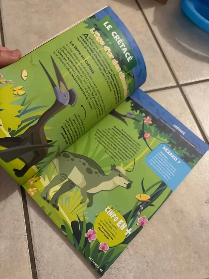 Livres infos activités dinosaures - photo numéro 5