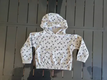 Sweat à capuche 3ans