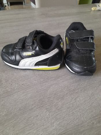 Puma bébé