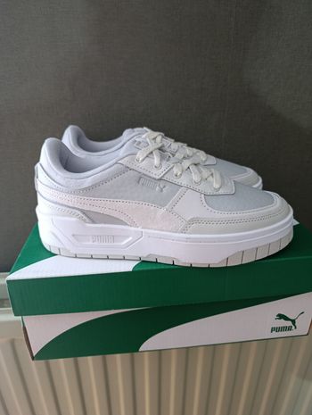 Basket puma 