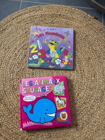 Lot enfants animaux nombres