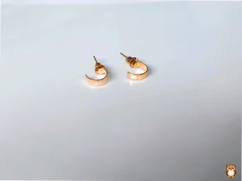 Mini créoles épaisses lisses finition brillante
