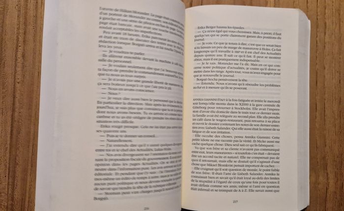 Roman policier thriller "la reine dans le palais des courants d'air " - photo numéro 3