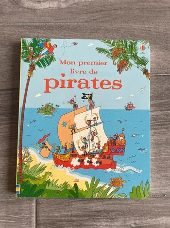 Livre cherche et trouve Pirates