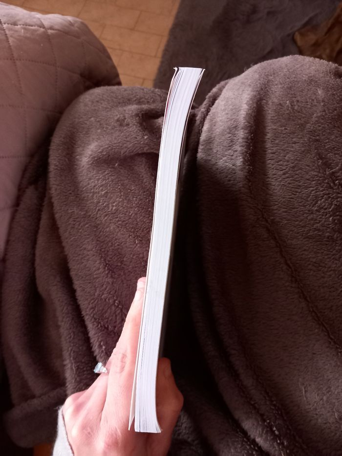 La princesse qui descendait de la colline - Didier Naud - photo numéro 3