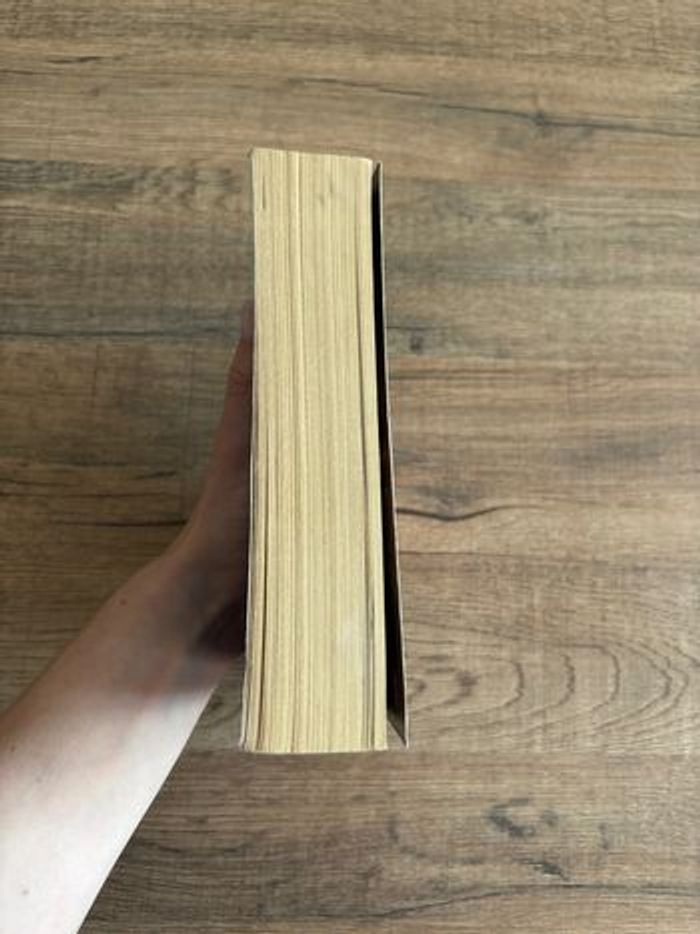 livre Crosstire T4 : Fascine-moi de Sylvia - photo numéro 3