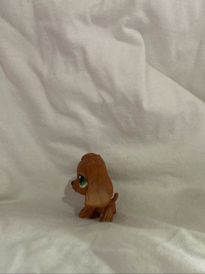 lps cocker - photo numéro 4