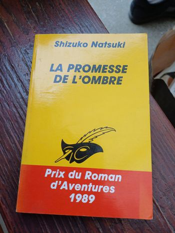 Livre la promesse de l ombre