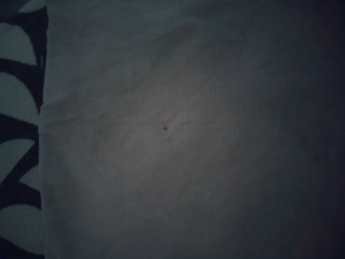 Pull bleu roi "Jennifer" en très bon état + un haut offert - photo numéro 8