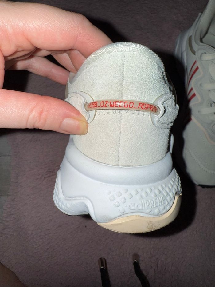 Basket - photo numéro 7