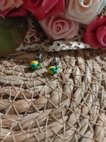 🍋Paire de boucle d'oreille citron🍋