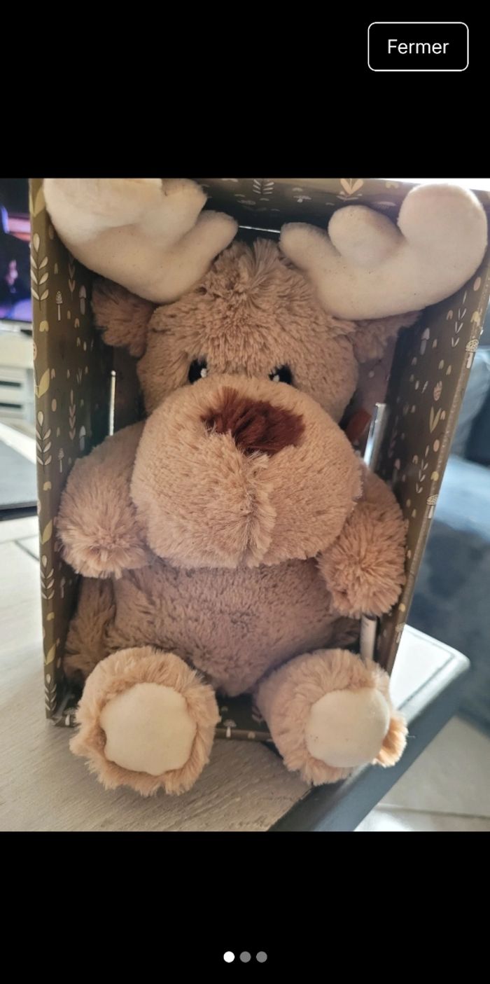 Coussin noyau de cerise