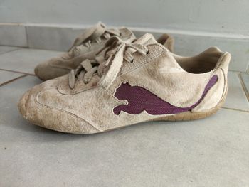 Puma 36