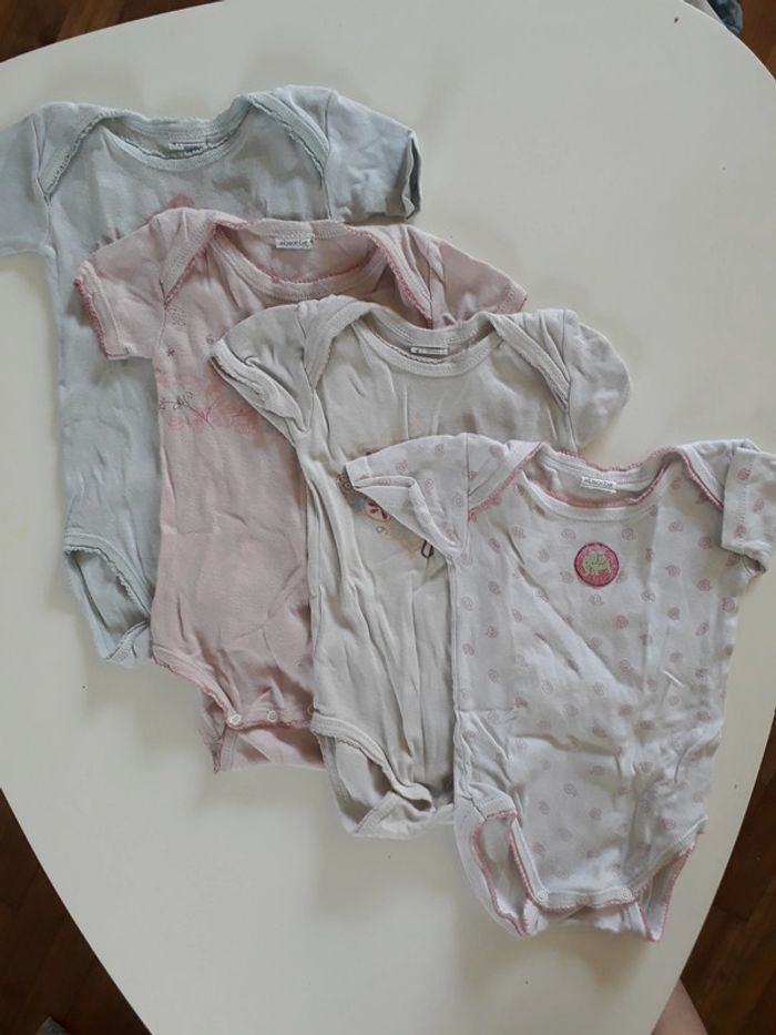 Lot bodies absorba 1 an