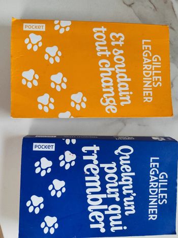 Lot Deux livres Gilles Legardinier