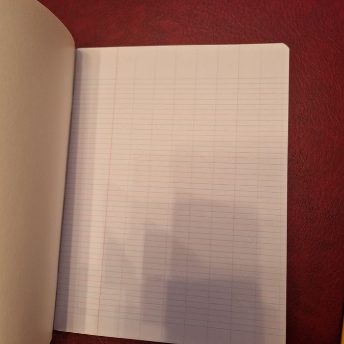 Lot 3 cahiers neufs - photo numéro 6