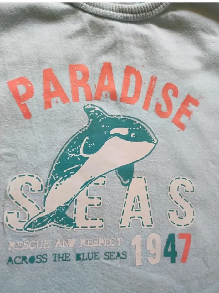 Tee shirt manches courtes 12mois - photo numéro 3